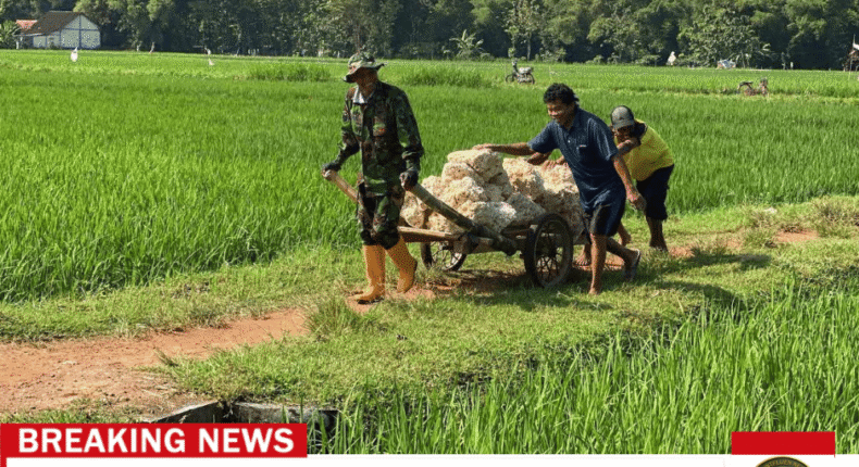 foto slider headline