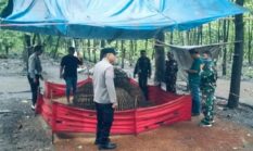 BRAVO Pak Kopolres, Perjudian Sabung Ayam Aduan di Sendangrejo – Jombang Berakhir Penggerebekan!!!, Miskipun Dalang Otaknya Tersenyum Tipis???
