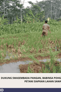 Dukung Swasembada Pangan, Babinsa Pohgajih Aktif Dampingi Petani Siapkan Lahan Sawah
