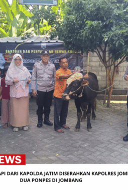 Hewan Kurban Sapi dari Kapolda Jatim Diserahkan Kapolres Jombang ke Dua Ponpes di Jombang