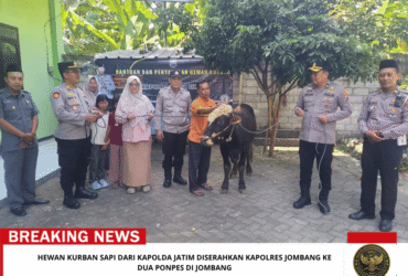 headline-foto