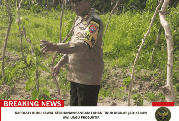 headline-foto