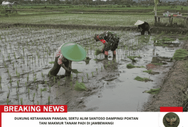 headline-foto