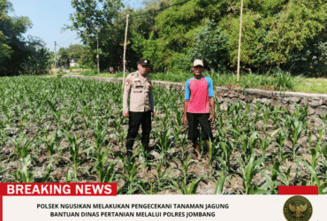 headline-foto