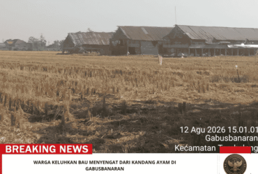 headline-foto