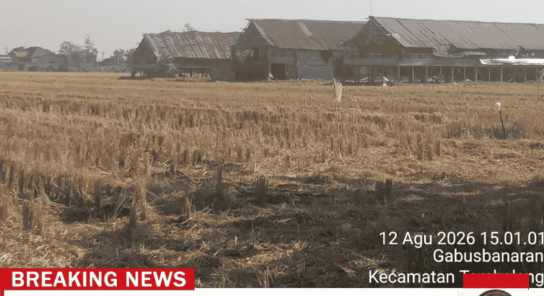 foto slider headline