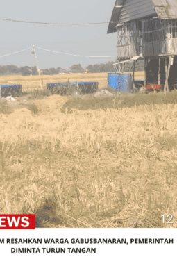 Warga Keluhkan Bau Menyengat dari Kandang Ayam di Gabusbanaran